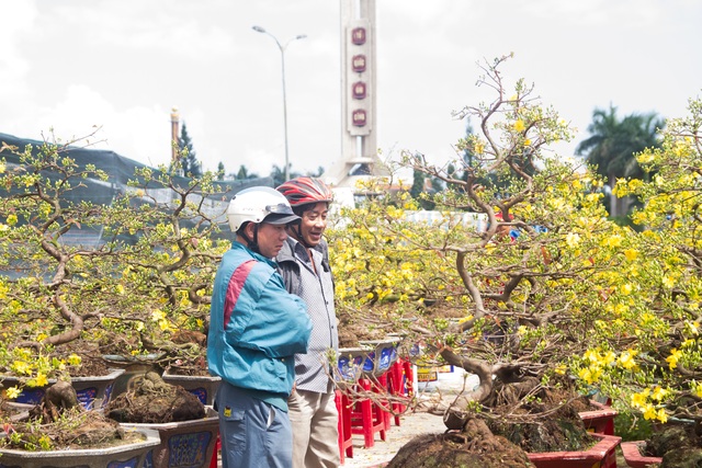 Chợ hoa Đà Nẵng 29 Tết: Quất cảnh đắt hàng, mai thưa khách - 4 Chợ hoa Đà Nẵng 29 Tết: Quất cảnh đắt hàng, mai thưa khách - 4