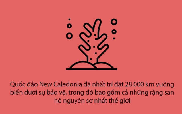 Những tin tốt năm 2018 trên thế giới khiến bạn lạc quan vào cuộc sống - 13 Những tin tốt năm 2018 trên thế giới khiến bạn lạc quan vào cuộc sống - 13