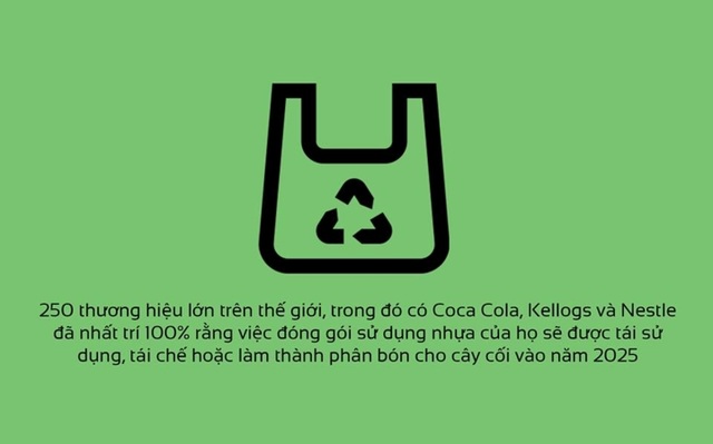Những tin tốt năm 2018 trên thế giới khiến bạn lạc quan vào cuộc sống - 6 Những tin tốt năm 2018 trên thế giới khiến bạn lạc quan vào cuộc sống - 6