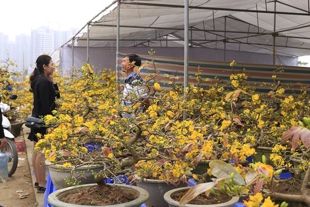 Rát mặt chiều 28 Tết: Màn trời chiếu đất, ôm lỗ 100 triệu đồng - 2 Rát mặt chiều 28 Tết: Màn trời chiếu đất, ôm lỗ 100 triệu đồng - 2