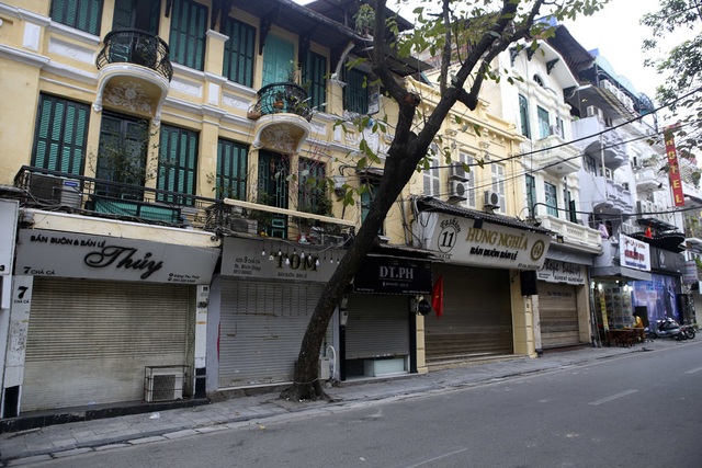 Hà Nội trong buổi sáng đầu tiên năm Kỷ Hợi - 12 Hà Nội trong buổi sáng đầu tiên năm Kỷ Hợi - 12