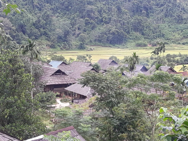 muongdan6.jpg muongdan6.jpg