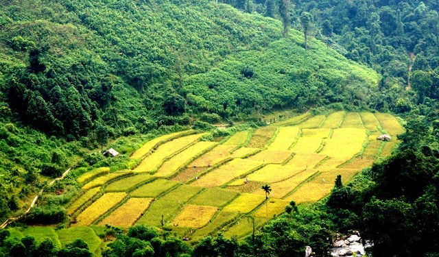 sung-so-truoc-ve-dep-ruong-bac-thang-o-mien-tay-xu-nghe (3).JPG sung-so-truoc-ve-dep-ruong-bac-thang-o-mien-tay-xu-nghe (3).JPG