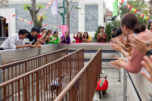 Rộn ràng trẩy hội xuân tại công viên nghìn tỷ ở trung tâm thành phố Đà Nẵng - 9 Rộn ràng trẩy hội xuân tại công viên nghìn tỷ ở trung tâm thành phố Đà Nẵng - 9
