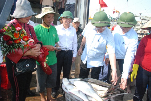 Mẻ cá bè “khủng” hơn 100 tấn của ngư dân Quảng Trị trị giá bao nhiêu? - 3 Mẻ cá bè “khủng” hơn 100 tấn của ngư dân Quảng Trị trị giá bao nhiêu? - 3
