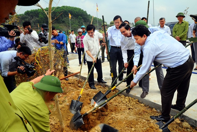 Đầu xuân trồng cây nhớ lời dạy Bác Hồ - Ảnh minh hoạ 2