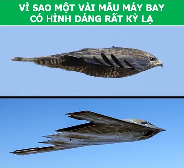 may_bay_3.jpg may_bay_3.jpg