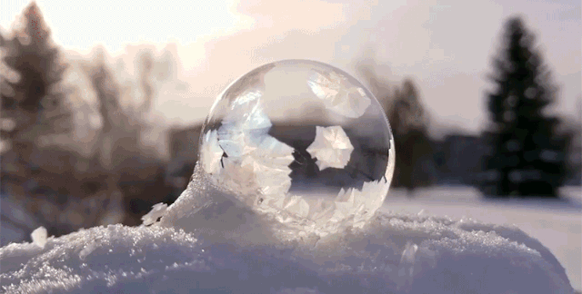 1.gif 1.gif