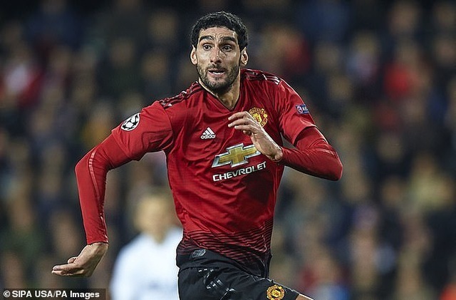 Fellaini.jpg Fellaini.jpg