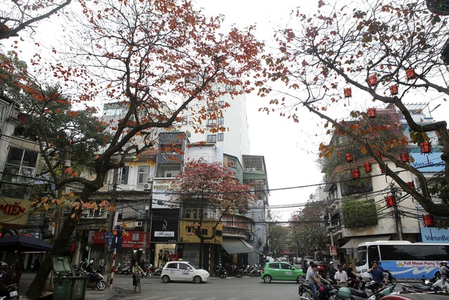 Ngắm Hà Nội đẹp đến nao lòng vào mùa cây thay lá - 8 Ngắm Hà Nội đẹp đến nao lòng vào mùa cây thay lá - 8