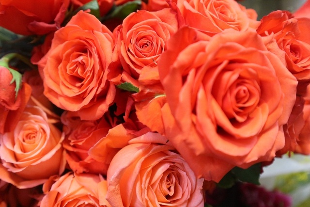 Đa dạng thị trường quà tặng Valentine nhưng sức mua khá yếu - 9 Đa dạng thị trường quà tặng Valentine nhưng sức mua khá yếu - 9