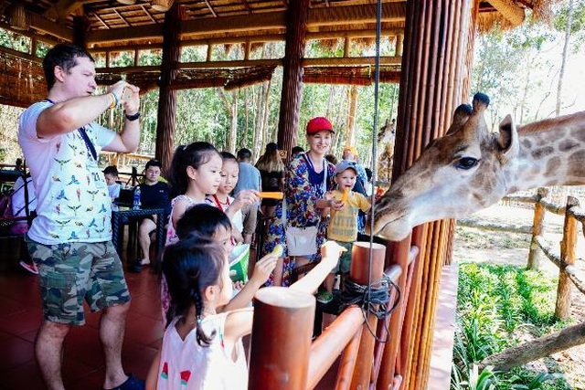 Vinpearl Safari Phú Quốc – Trải nghiệm “Tết mới”, gắn kết thiên nhiên - 7 Vinpearl Safari Phú Quốc – Trải nghiệm “Tết mới”, gắn kết thiên nhiên - 7