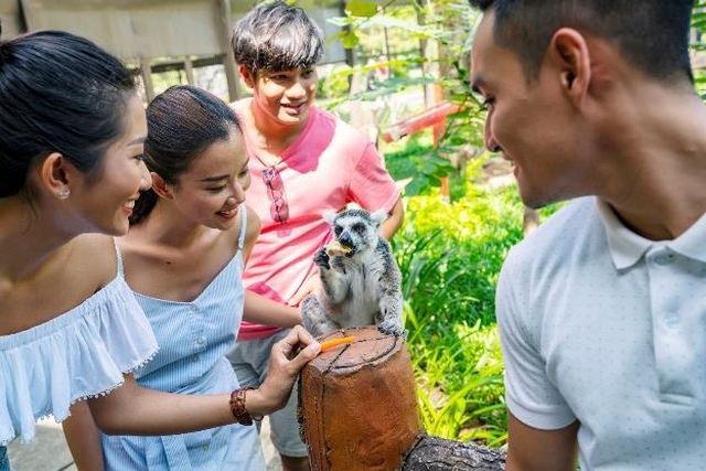 Vinpearl Safari Phú Quốc – Trải nghiệm “Tết mới”, gắn kết thiên nhiên - 13 Vinpearl Safari Phú Quốc – Trải nghiệm “Tết mới”, gắn kết thiên nhiên - 13