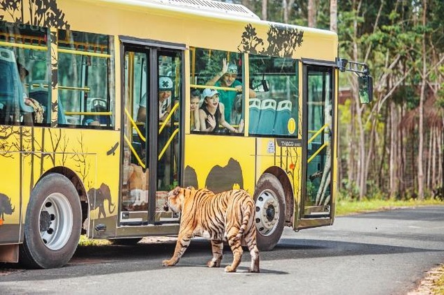 Vinpearl Safari Phú Quốc – Trải nghiệm “Tết mới”, gắn kết thiên nhiên - 14 Vinpearl Safari Phú Quốc – Trải nghiệm “Tết mới”, gắn kết thiên nhiên - 14