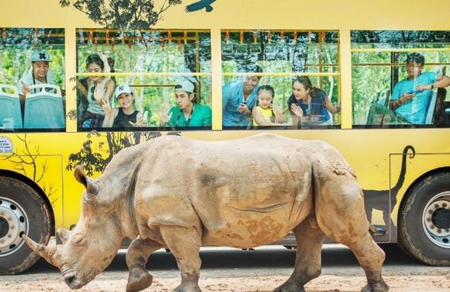 Vinpearl Safari Phú Quốc – Trải nghiệm “Tết mới”, gắn kết thiên nhiên - 15 Vinpearl Safari Phú Quốc – Trải nghiệm “Tết mới”, gắn kết thiên nhiên - 15