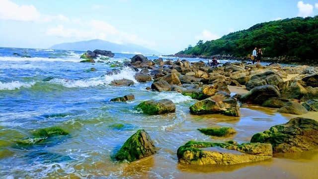 Rạn Nam Ô: Đẹp ngỡ ngàng rạn rêu xanh thu hút du khách ngày đầu xuân - 1 Rạn Nam Ô: Đẹp ngỡ ngàng rạn rêu xanh thu hút du khách ngày đầu xuân - 1
