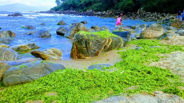 Rạn Nam Ô: Đẹp ngỡ ngàng rạn rêu xanh thu hút du khách ngày đầu xuân - 4 Rạn Nam Ô: Đẹp ngỡ ngàng rạn rêu xanh thu hút du khách ngày đầu xuân - 4