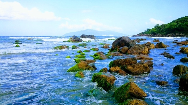 Rạn Nam Ô: Đẹp ngỡ ngàng rạn rêu xanh thu hút du khách ngày đầu xuân - 3 Rạn Nam Ô: Đẹp ngỡ ngàng rạn rêu xanh thu hút du khách ngày đầu xuân - 3