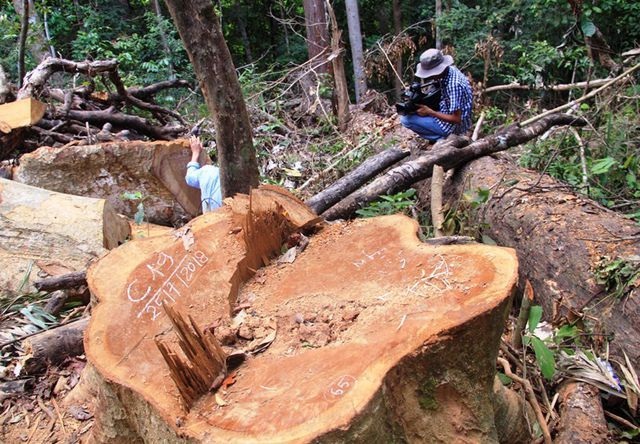 Bình Định:  Chủ tịch, Phó Chủ tịch huyện bị kỷ luật vì sai phạm