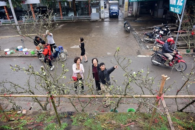 Lên rừng “săn” gốc lê cổ thụ bán giá bạc triệu phục vụ đại gia chơi Tết muộn - 9 Lên rừng “săn” gốc lê cổ thụ bán giá bạc triệu phục vụ đại gia chơi Tết muộn - 9
