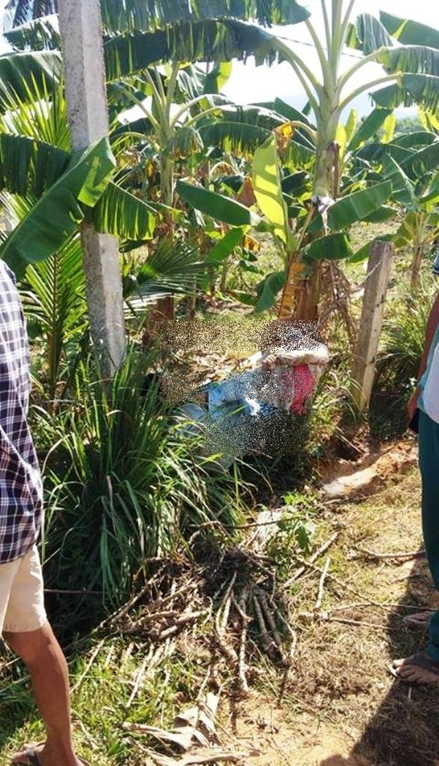 Vụ đôi vợ chồng bị điện giật tử vong: “Điện lực không có lỗi” - 1 Vụ đôi vợ chồng bị điện giật tử vong: “Điện lực không có lỗi” - 1