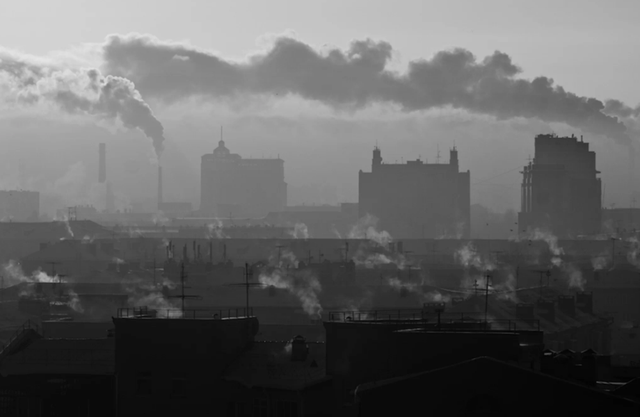 Xuất hiện tuyết đen độc hại Siberia - 1 Xuất hiện tuyết đen độc hại Siberia - 1