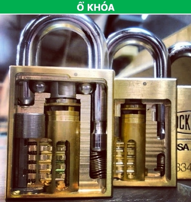 Vạn vật trở nên hoàn khác lạ khi được nhìn từ bên trong! - 8 Vạn vật trở nên hoàn khác lạ khi được nhìn từ bên trong! - 8