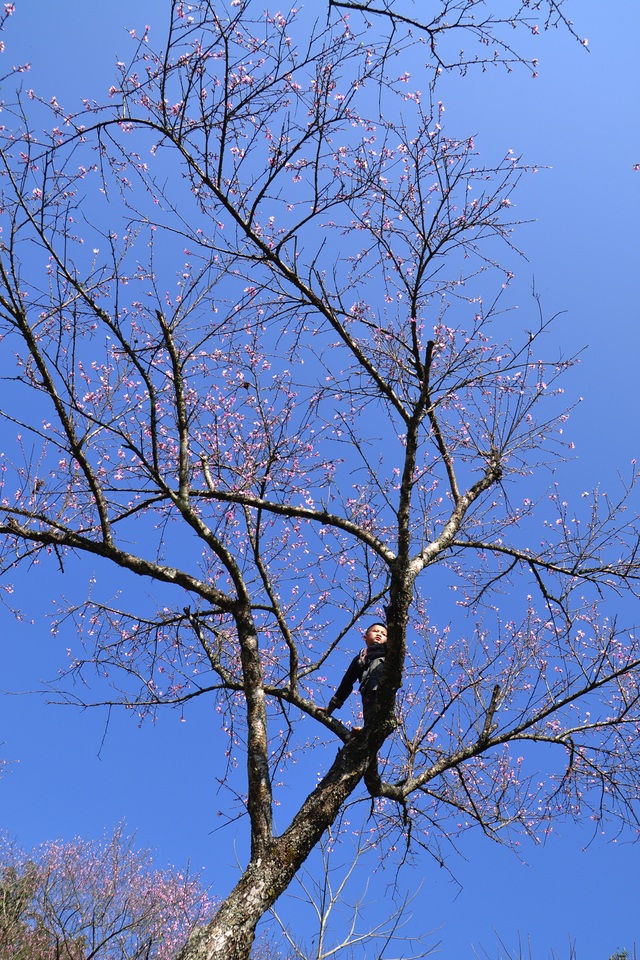 DSC_0154.jpg DSC_0154.jpg