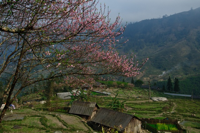 DSC_4248.jpg DSC_4248.jpg