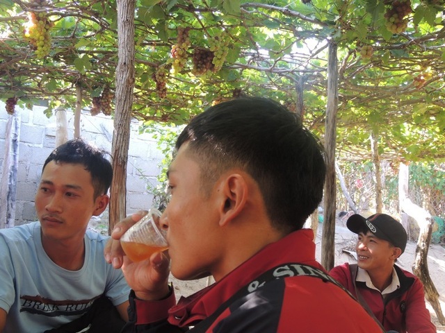 vườn nho (10).jpg vườn nho (10).jpg