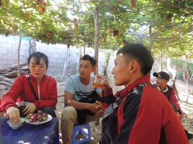 vườn nho (16).jpg vườn nho (16).jpg