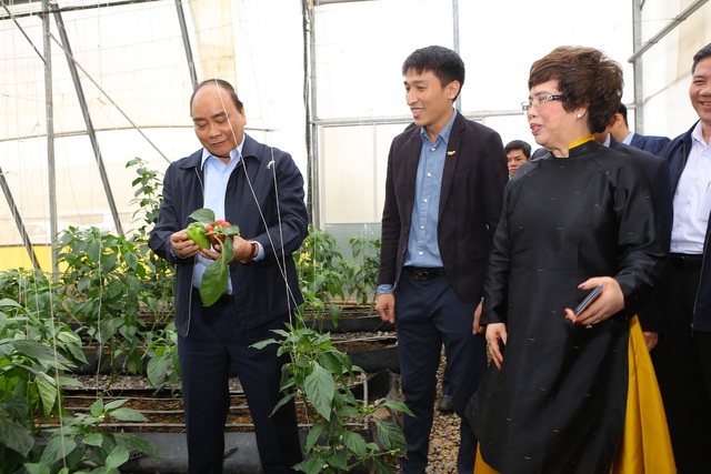 Thủ tướng Nguyễn Xuân Phúc dự lễ khánh thành Nhà máy nước tinh khiết, thảo dược và hoa quả Núi Tiên - 9 Thủ tướng Nguyễn Xuân Phúc dự lễ khánh thành Nhà máy nước tinh khiết, thảo dược và hoa quả Núi Tiên - 9