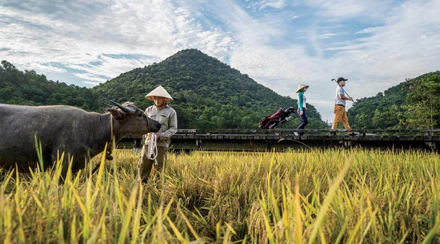 Việt Nam - điểm đến hấp dẫn mới của các golf thủ thế giới - Ảnh minh hoạ 3