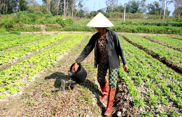 Bọt lạ nổi trắng kênh Phú Ninh