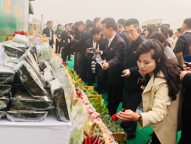 Đoàn Triều Tiên thăm tổ hợp sản xuất ô tô, nông nghiệp công nghệ cao tại Hải Phòng - 10