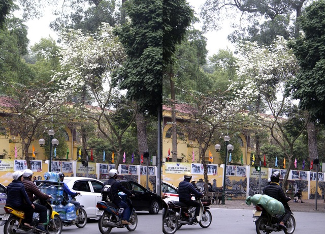 5..jpg 5..jpg