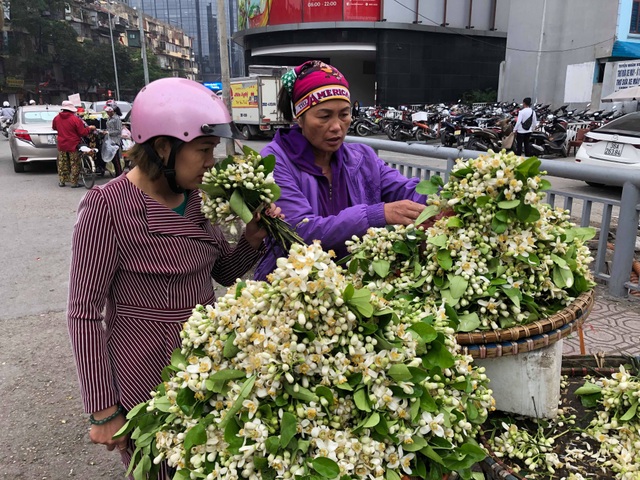 Theo tính toán của người bán, nếu đắt khách, họ có thể lãi tiền triệu mỗi ngày.
Theo tính toán của người bán, nếu đắt khách, họ có thể lãi tiền triệu mỗi ngày.