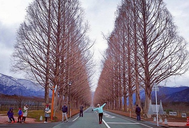 tn_makino2.jpg tn_makino2.jpg