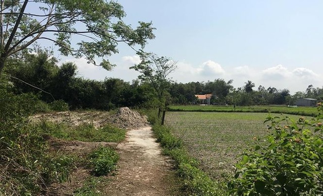 Cò đất thổi giá náo loạn vùng quê - 2 Cò đất thổi giá náo loạn vùng quê - 2