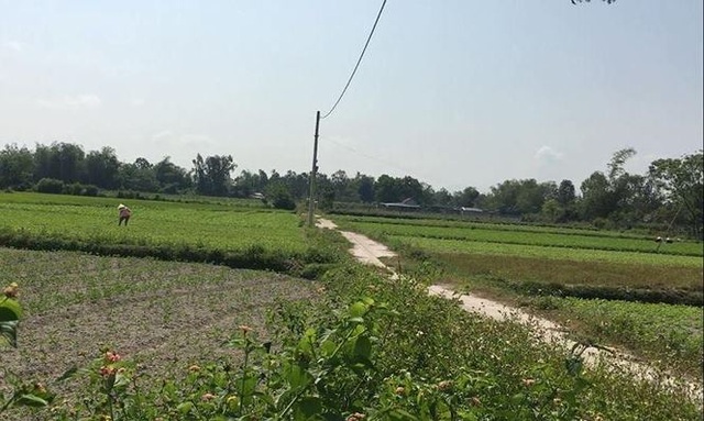 Cò đất thổi giá náo loạn vùng quê - 4 Cò đất thổi giá náo loạn vùng quê - 4