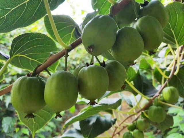 Khởi nghiệp ở tuổi 52, thành tỷ phú - 4 Khởi nghiệp ở tuổi 52, thành tỷ phú - 4