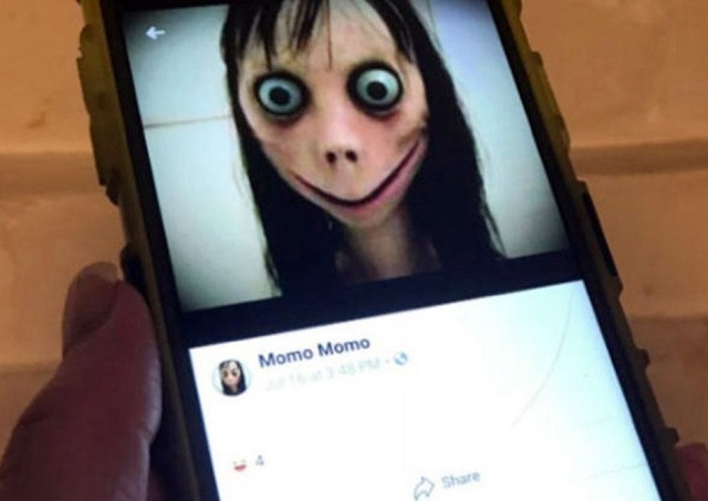 momo.jpg momo.jpg