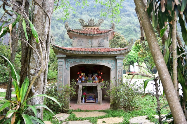 Kỳ lạ cây đa di chuyển ở Ninh Bình - 3