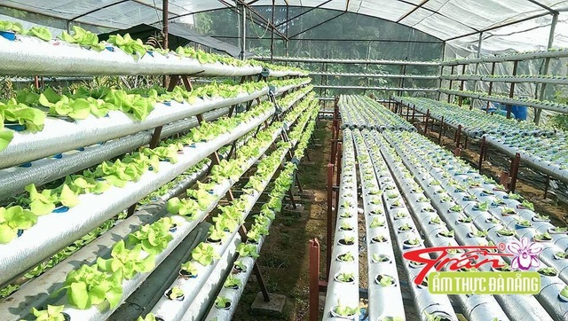 Nguyên tắc kinh doanh ẩm thực Đà Nẵng - 2 Nguyên tắc kinh doanh ẩm thực Đà Nẵng - 2
