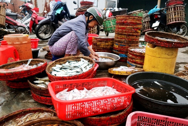Chợ cá ven biển Quảng Nam Chợ cá ven biển Quảng Nam