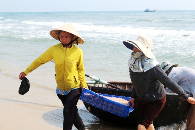 Chợ cá ven biển Quảng Nam Chợ cá ven biển Quảng Nam