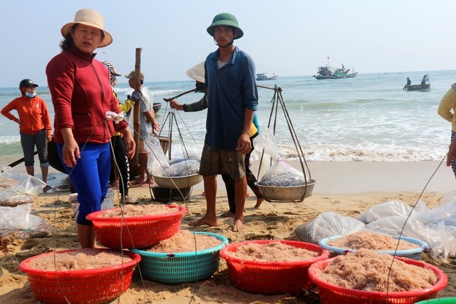 Chợ cá ven biển Quảng Nam Chợ cá ven biển Quảng Nam