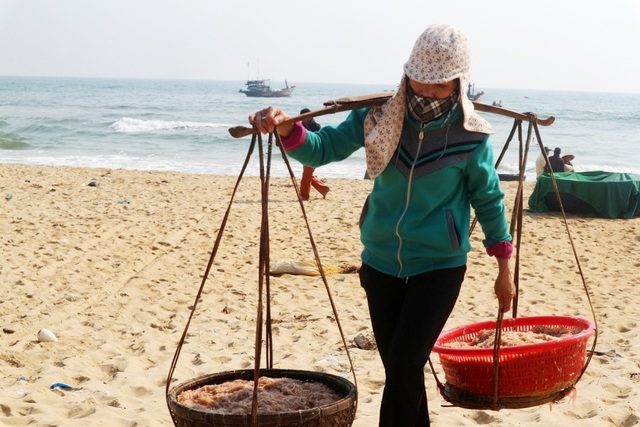 Chợ cá ven biển Quảng Nam Chợ cá ven biển Quảng Nam