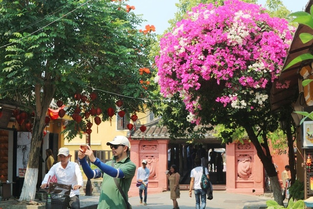 Hoa giấy ở Hội An Hoa giấy ở Hội An