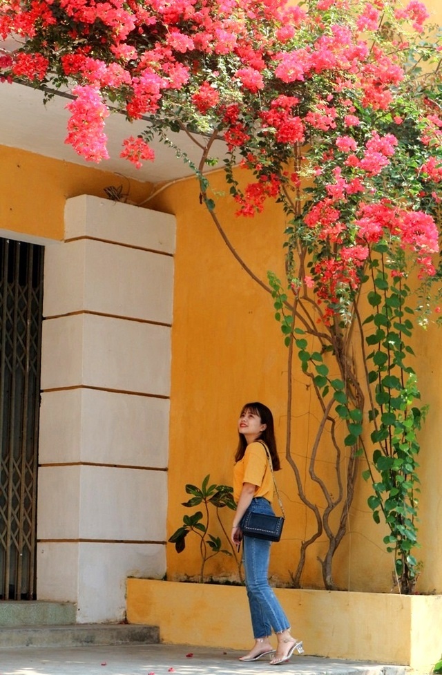 Hoa giấy ở Hội An Hoa giấy ở Hội An
